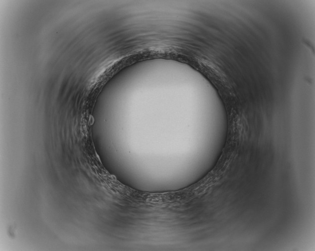 X0000102760776200809021006