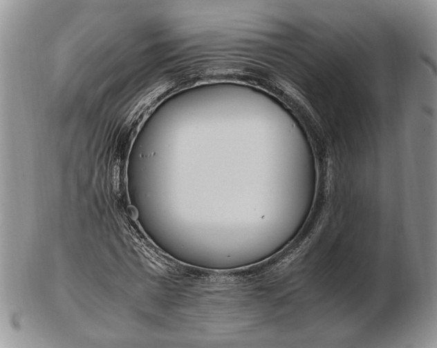 X0000102760777200809021006