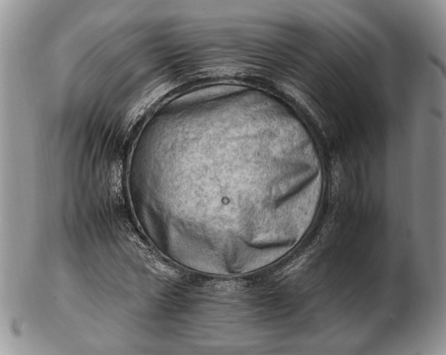 X0000102760778200809021006