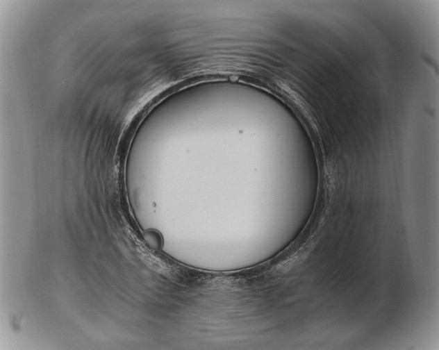 X0000102760779200809021006