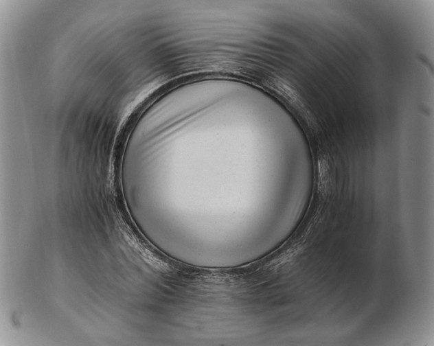 X0000102760780200809021006