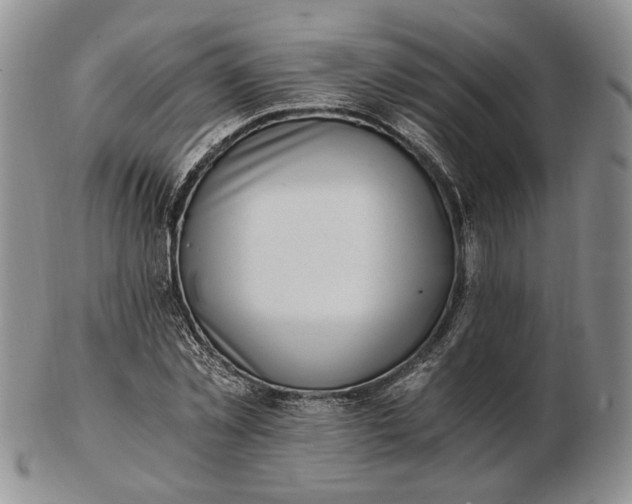 X0000102760781200809021006