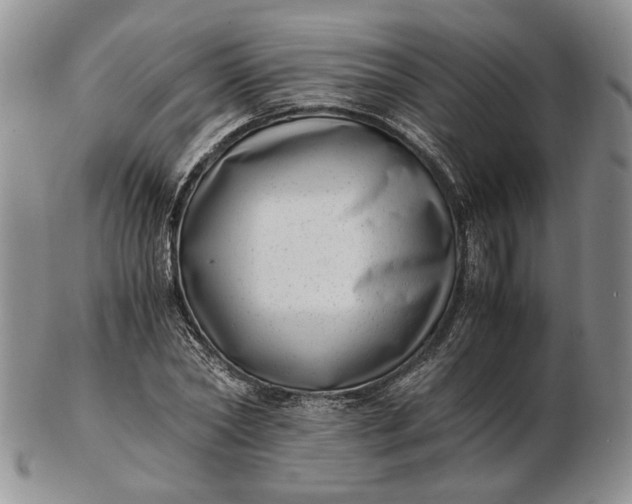 X0000102760782200809021006