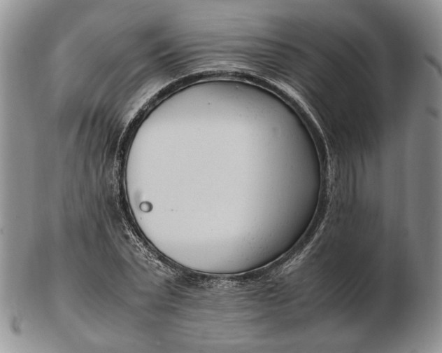 X0000102760783200809021006