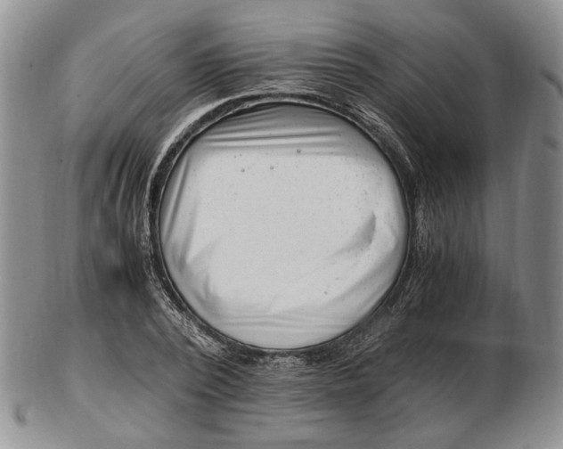 X0000102760784200809021006