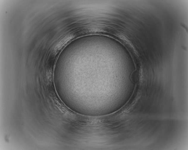 X0000102760785200809021006