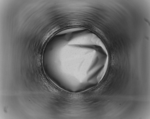 X0000102760786200809021006