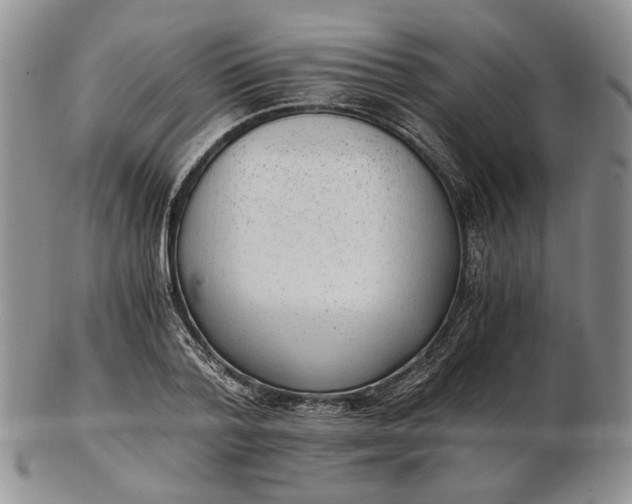 X0000102760788200809021006