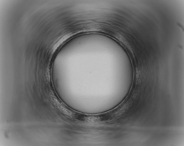 X0000102760789200809021006