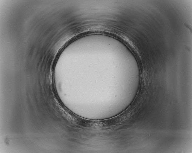 X0000102760791200809021006