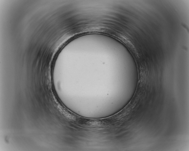 X0000102760792200809021006