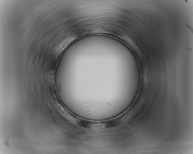 X0000102760793200809021006