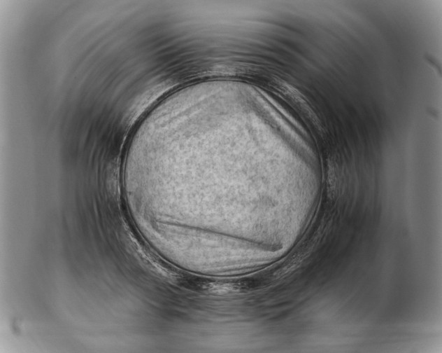 X0000102760794200809021006