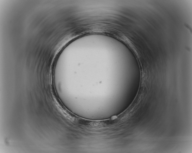 X0000102760795200809021006