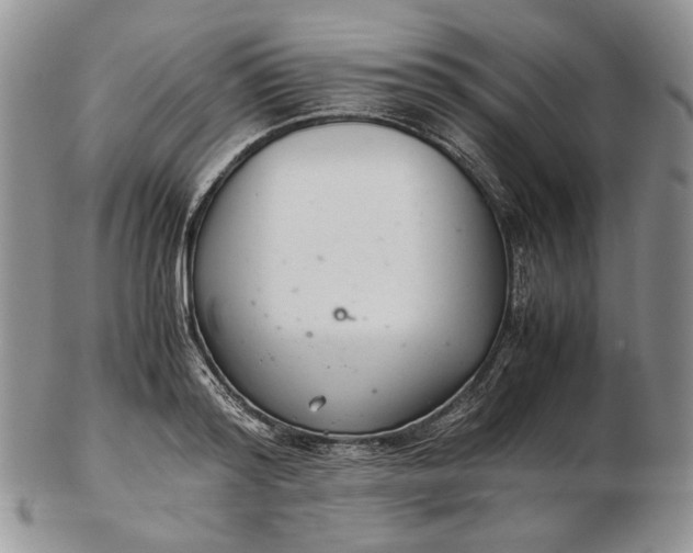 X0000102760796200809021006