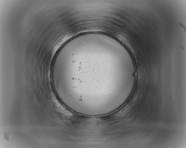 X0000102760797200809021006