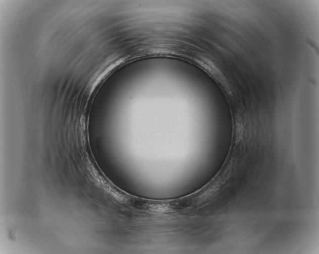 X0000102760798200809021006