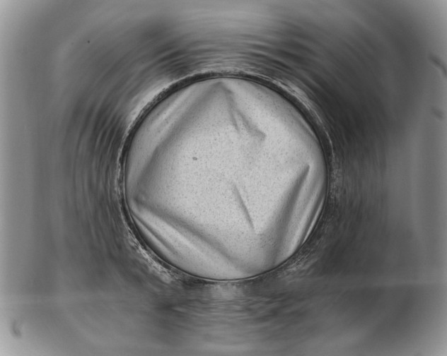 X0000102760799200809021006