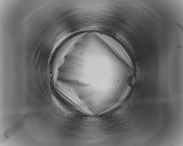 X0000102760800200809021006