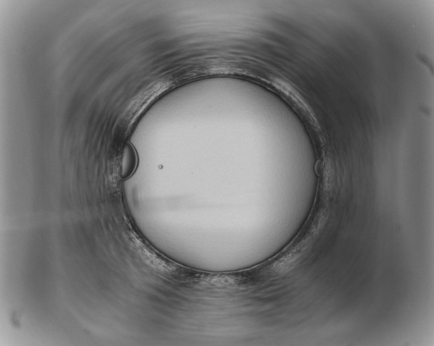 X0000102760801200809021006