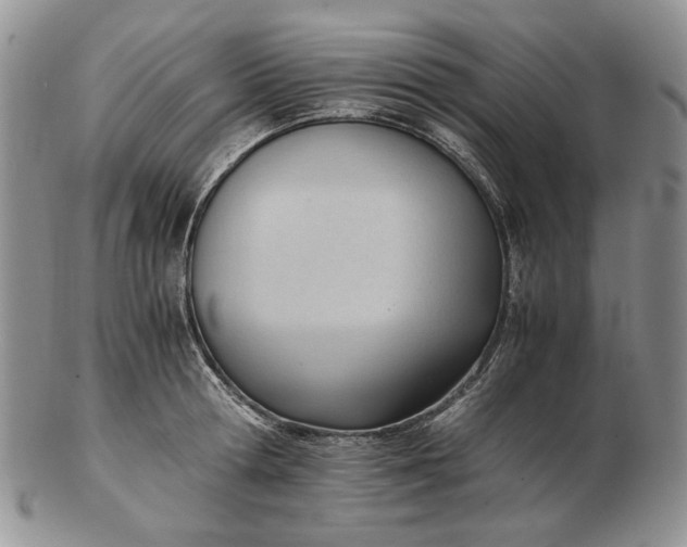 X0000102760802200809021006