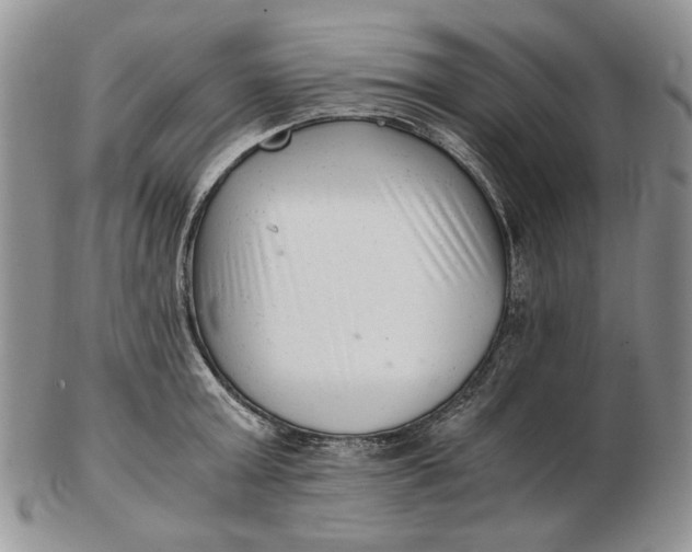 X0000102760803200809021006