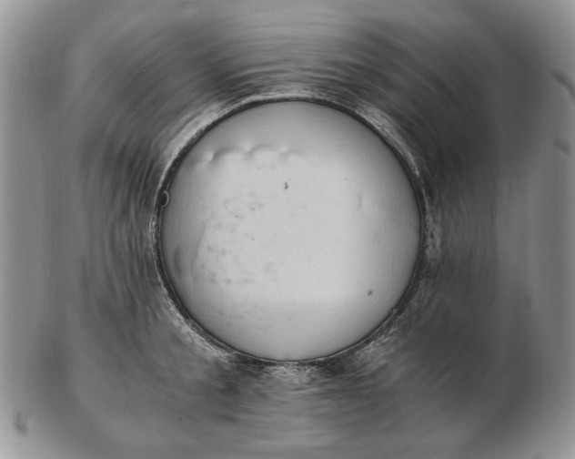 X0000102760805200809021006