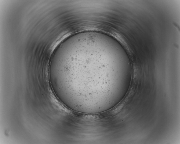 X0000102760806200809021006