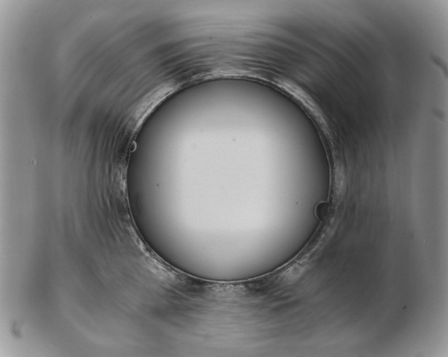 X0000102760809200809021006