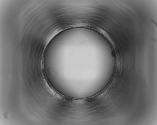 X0000102760810200809021006