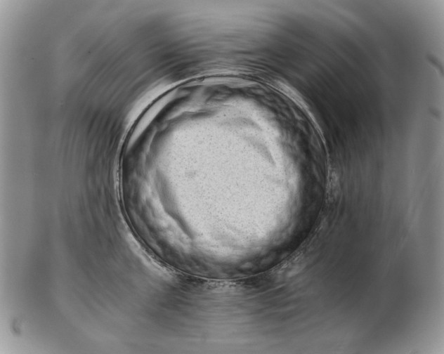 X0000102760811200809021006