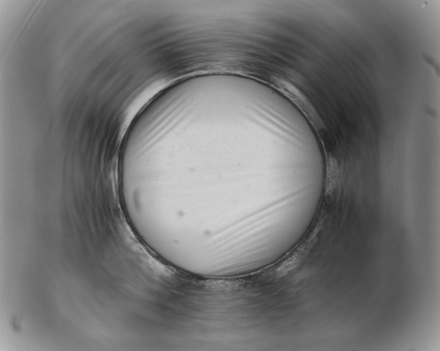 X0000102760812200809021006