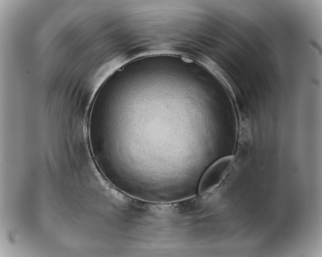 X0000102760813200809021006