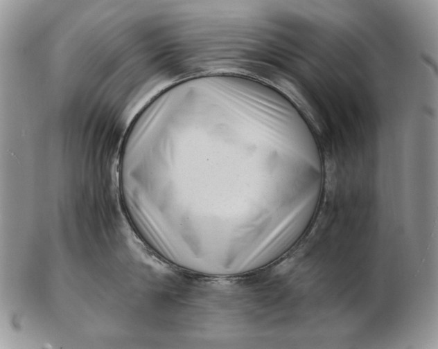 X0000102760814200809021006