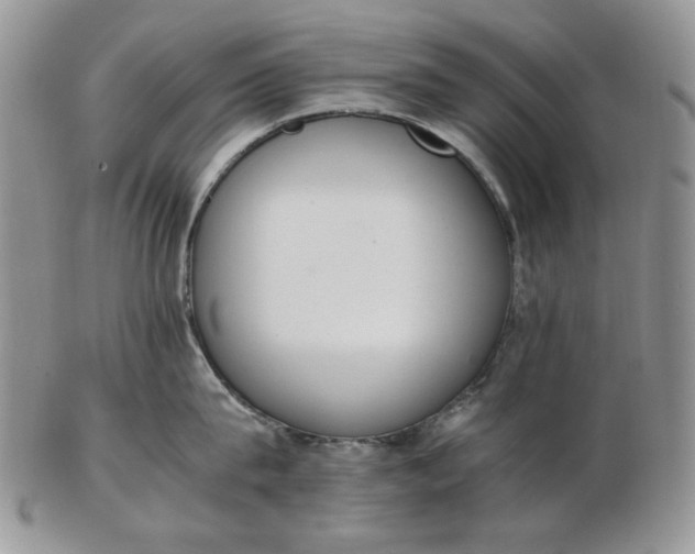 X0000102760815200809021006