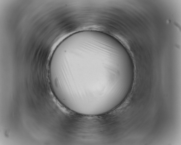 X0000102760816200809021006