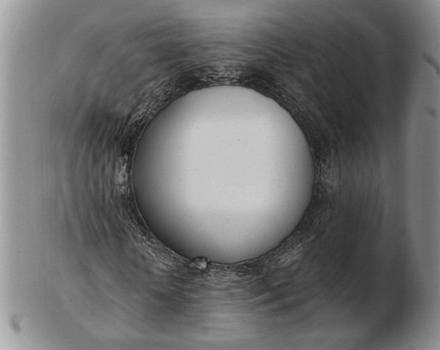 X0000102760818200809021005