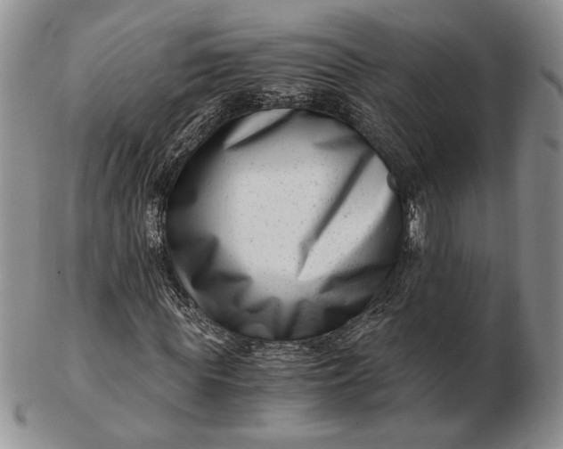 X0000102760819200809021005