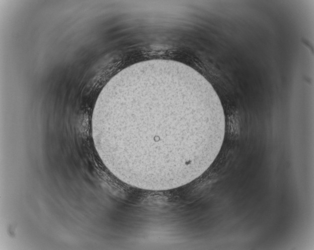 X0000102760820200809021005