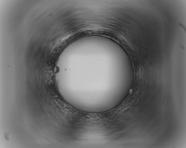 X0000102760822200809021005