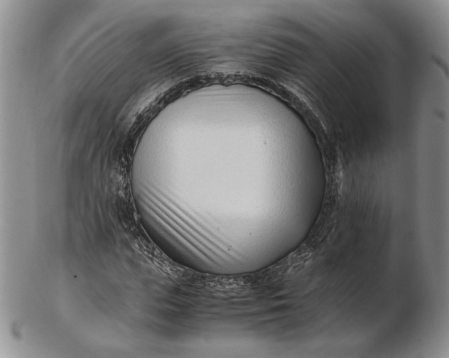 X0000102760823200809021005