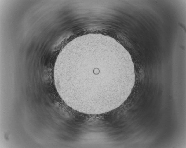 X0000102760824200809021005