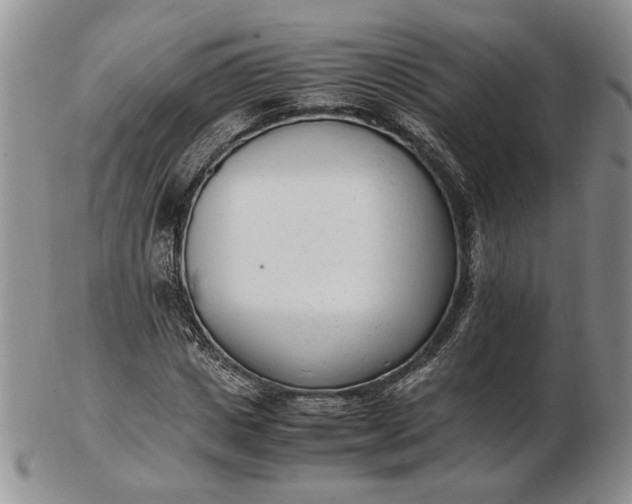 X0000102760825200809021005