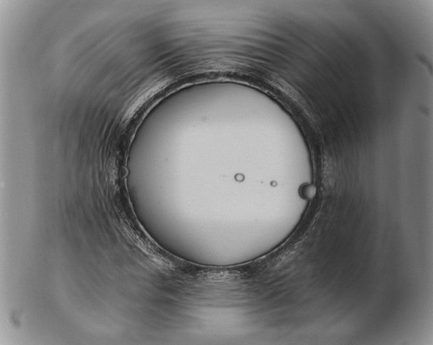 X0000102760826200809021005