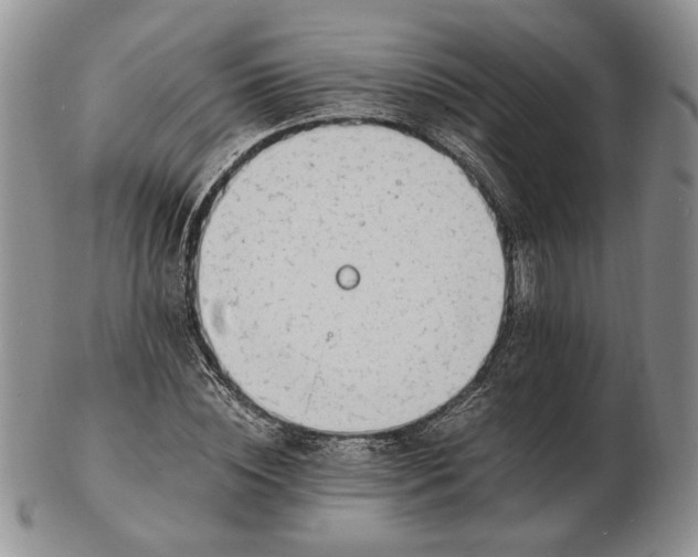 X0000102760828200809021005