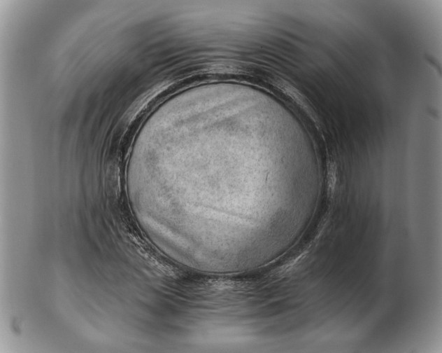 X0000102760829200809021005