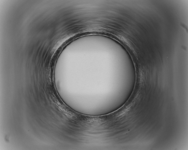 X0000102760830200809021005