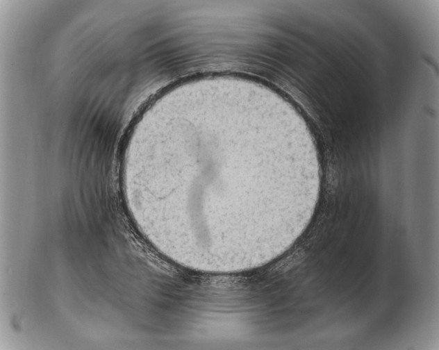 X0000102760832200809021005