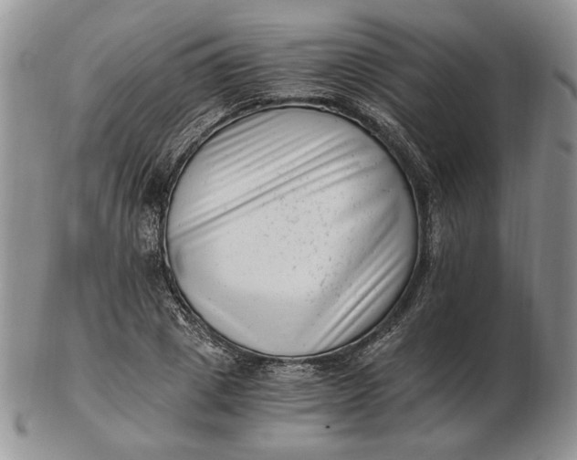 X0000102760833200809021005