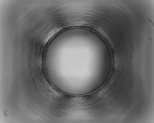 X0000102760834200809021005